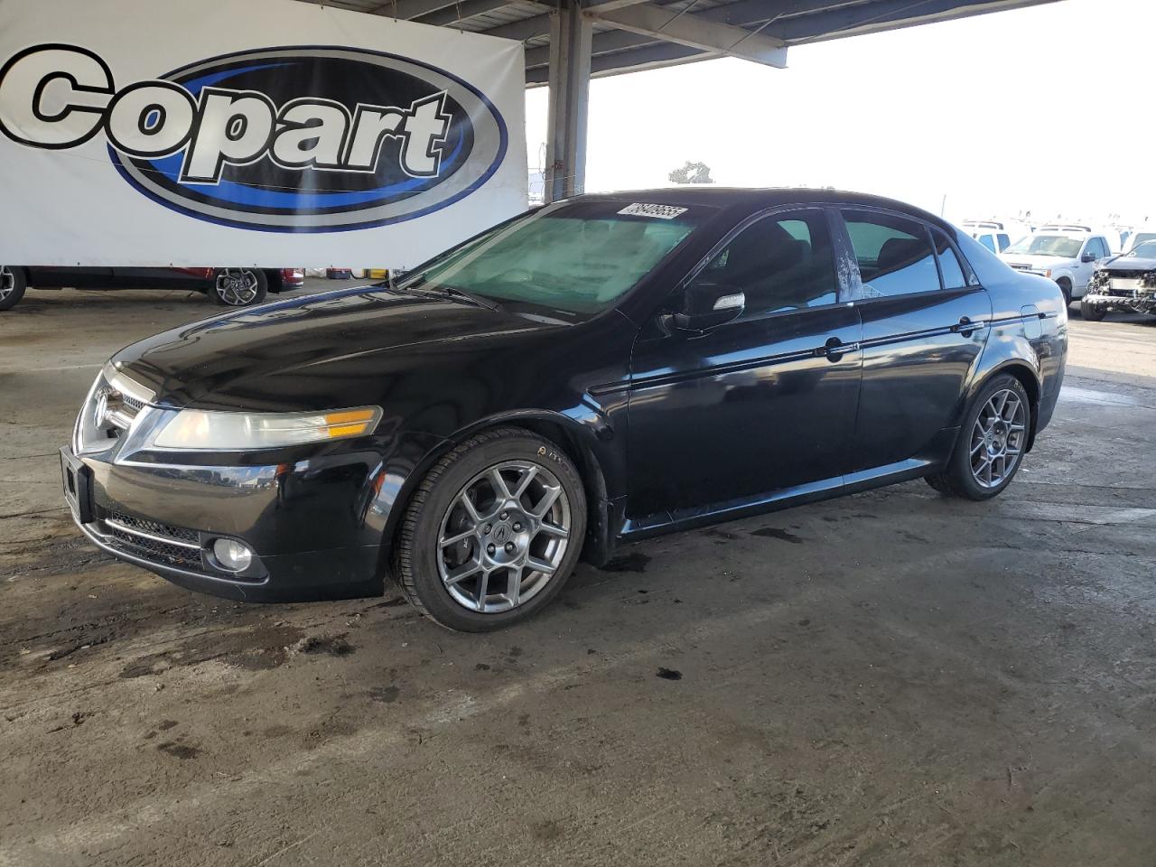Salvage Acura TL Image