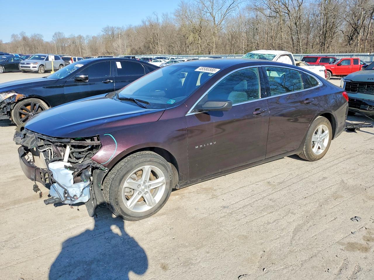 Salvage Chevrolet Malibu Image