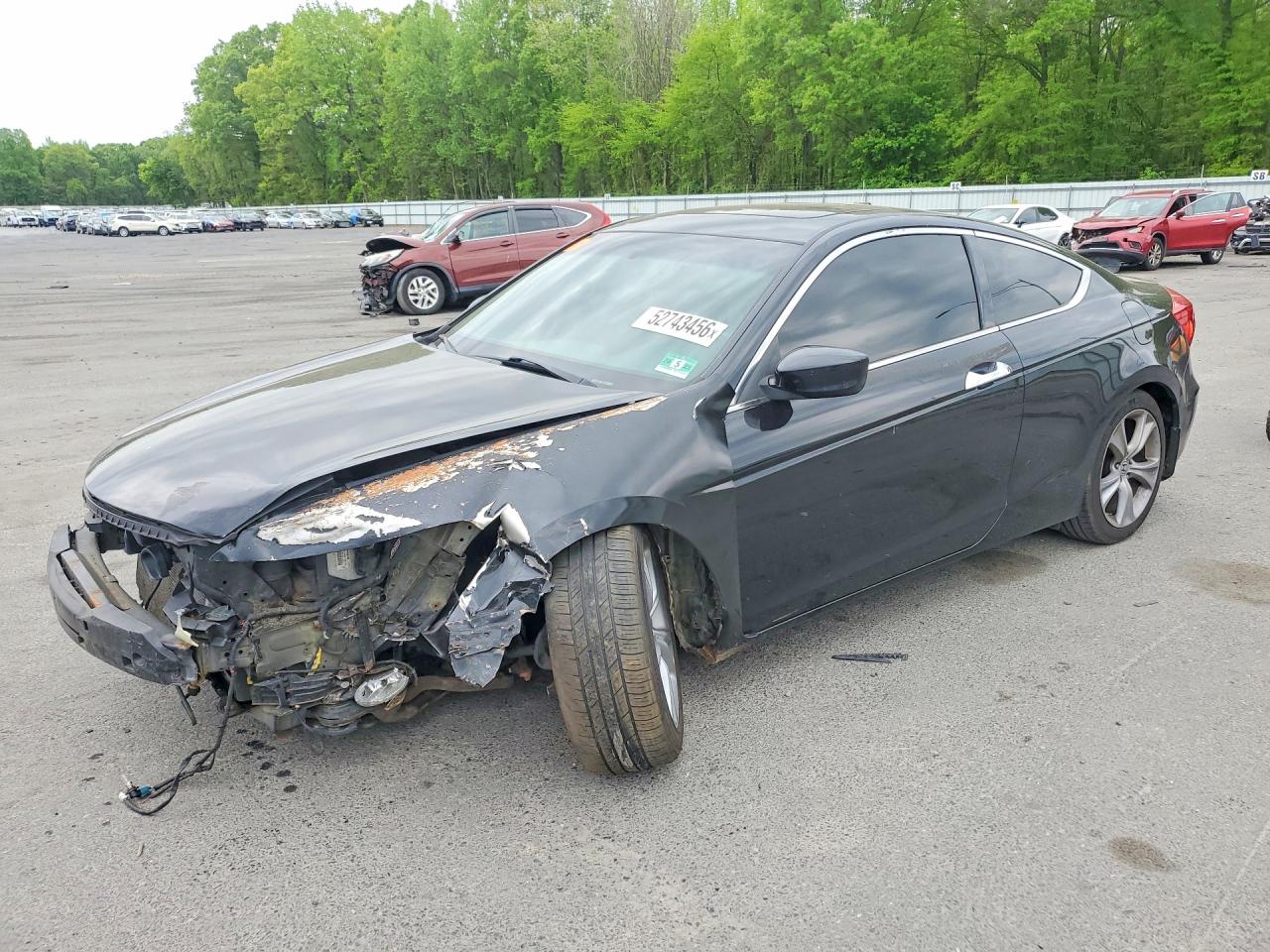 Salvage Honda Accord Image
