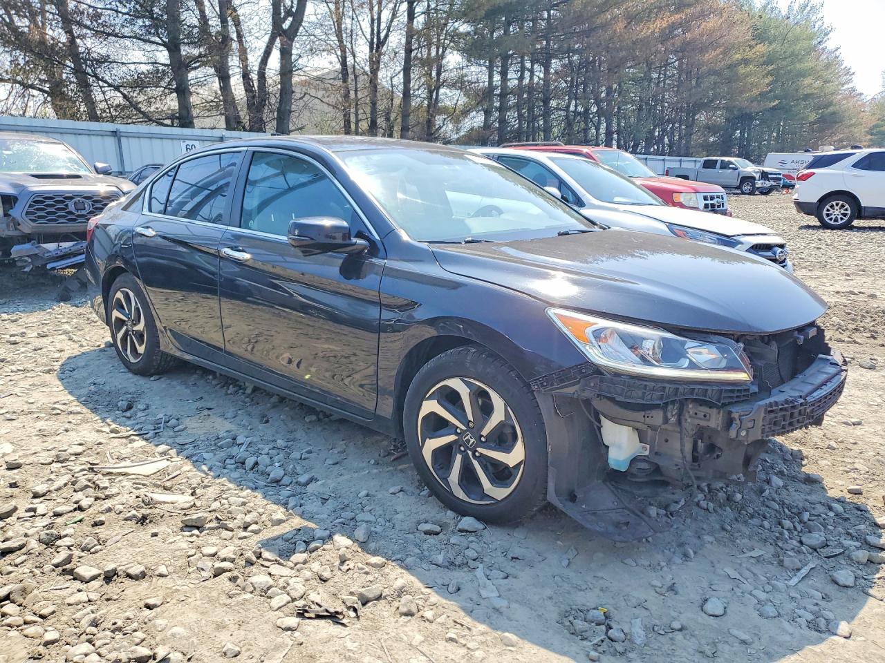Honda Accord Ex