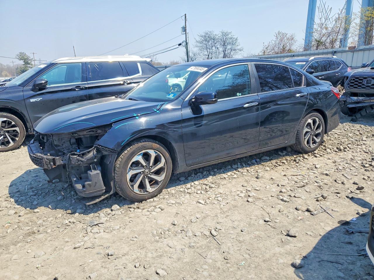Salvage Honda Accord Image