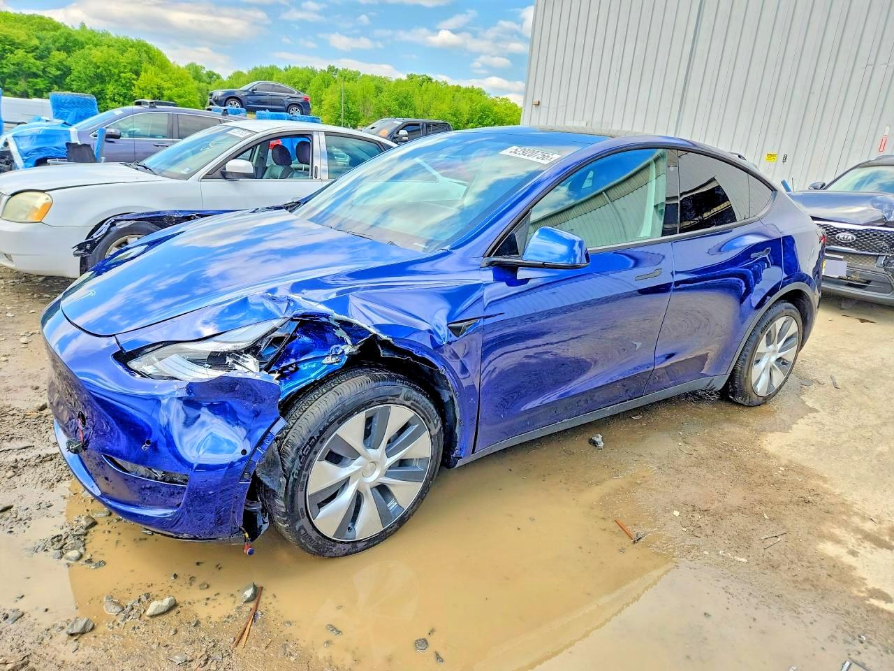 Salvage Tesla Model Y Image
