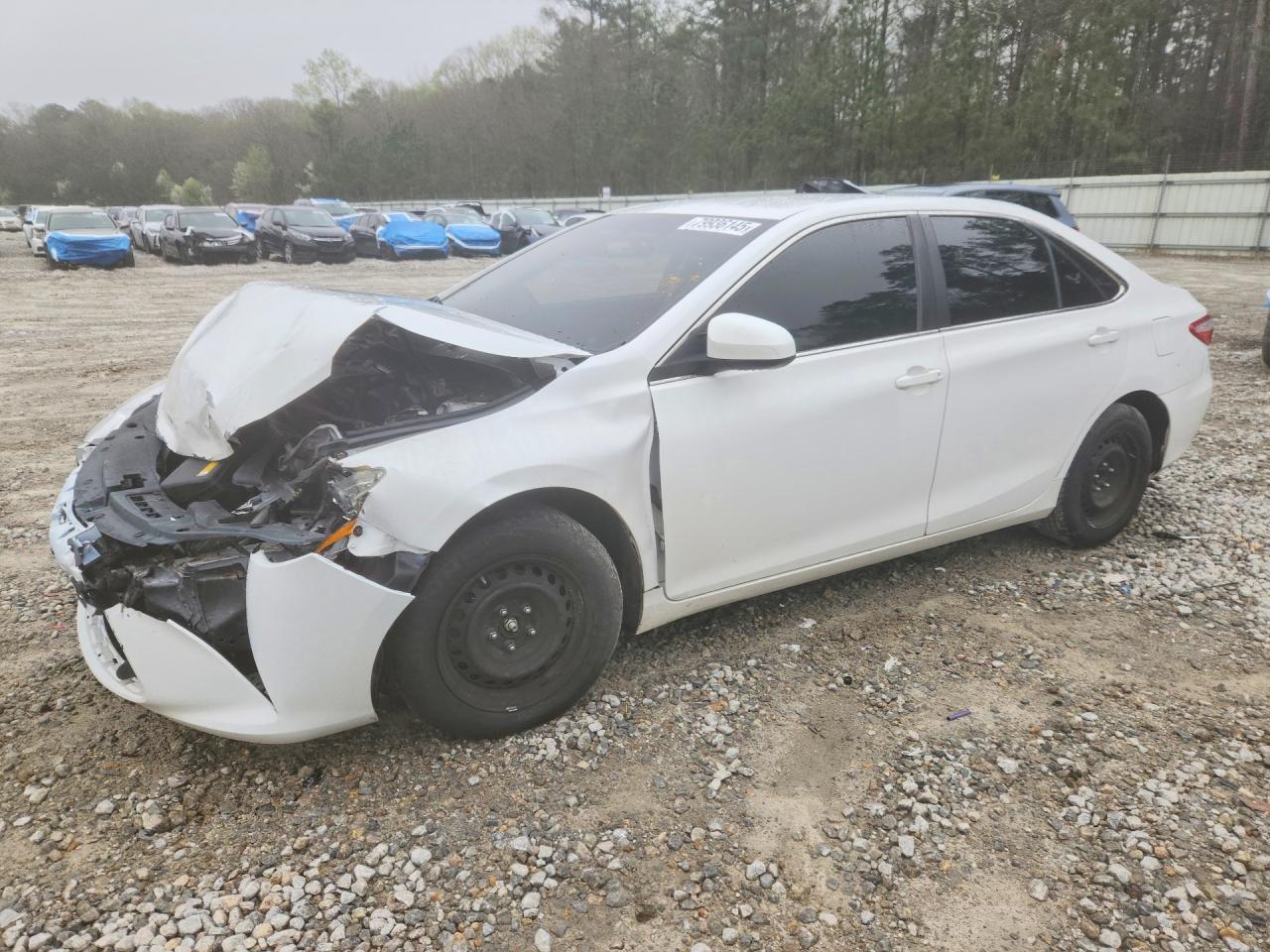 Salvage Toyota Camry Image