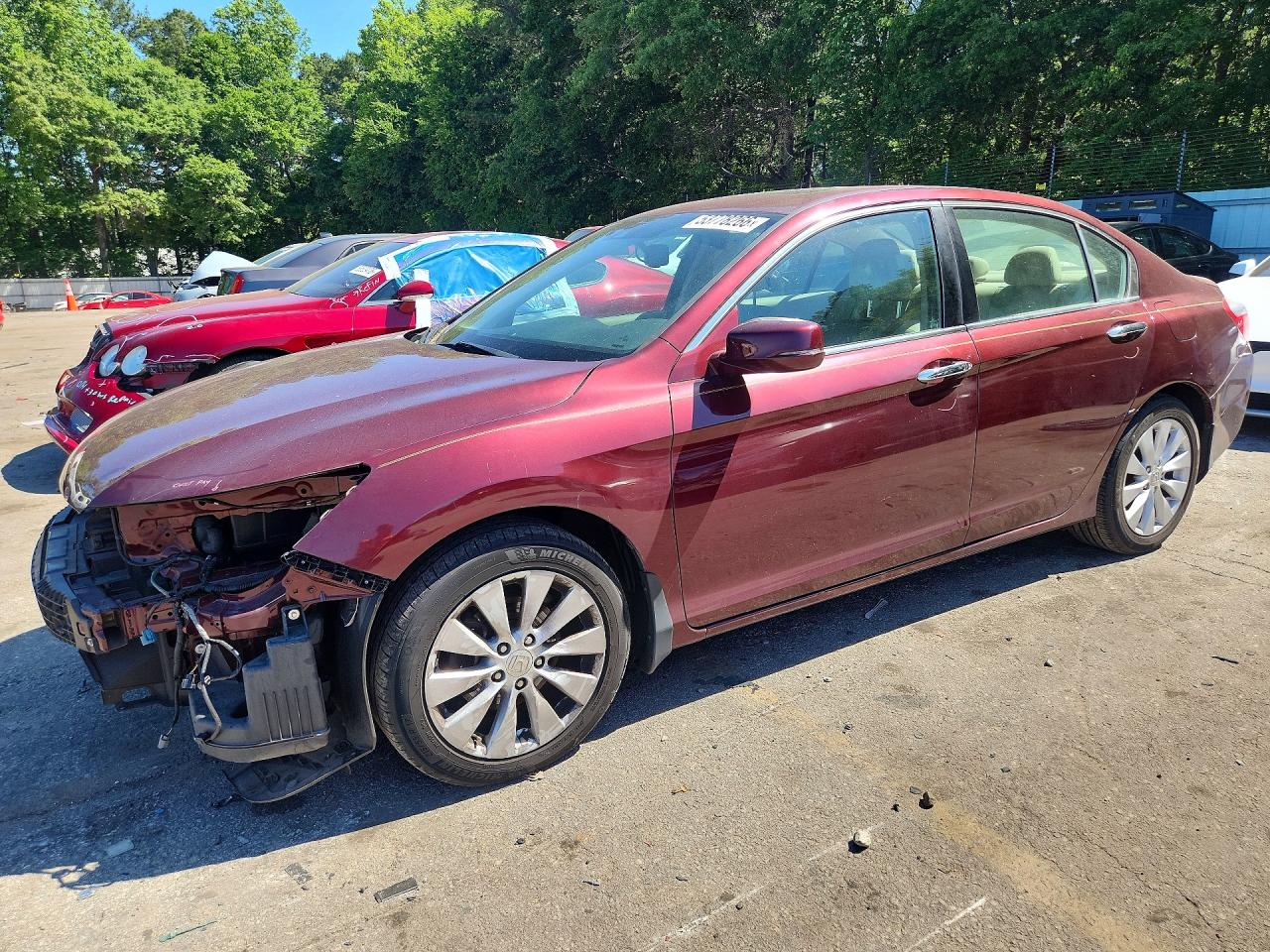 Salvage Honda Accord Image