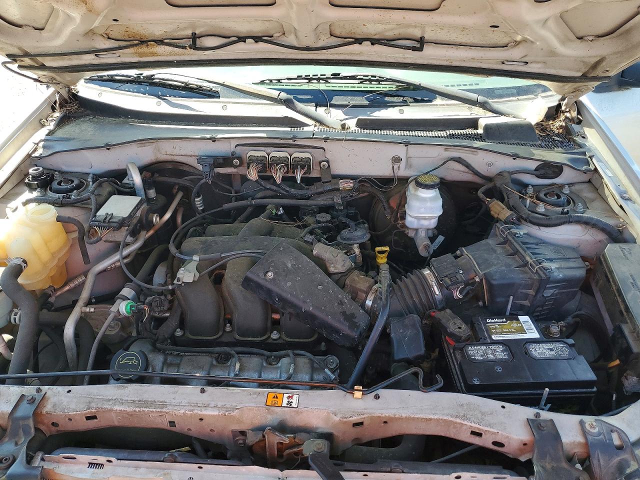 Ford Escape Xlt