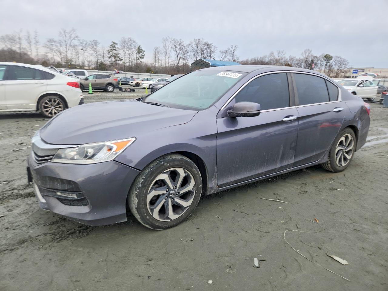 Salvage Honda Accord Image