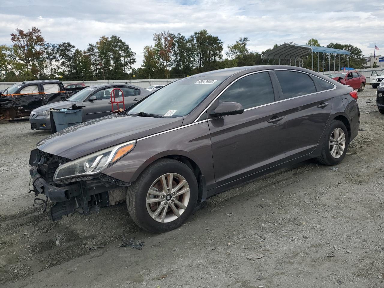 Salvage Hyundai SONATA Image