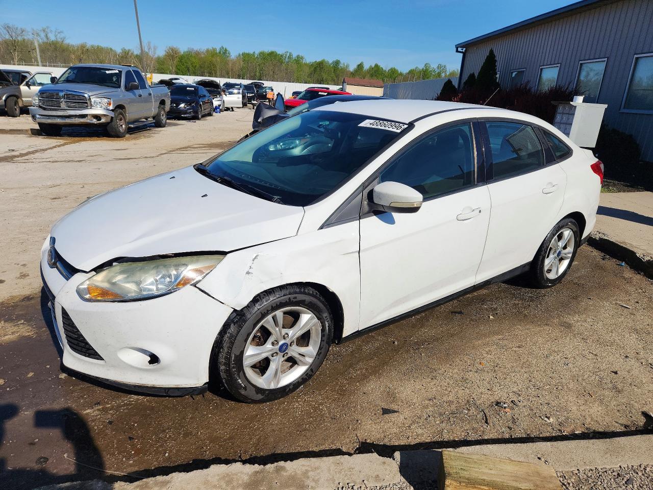 Salvage Ford Focus Image