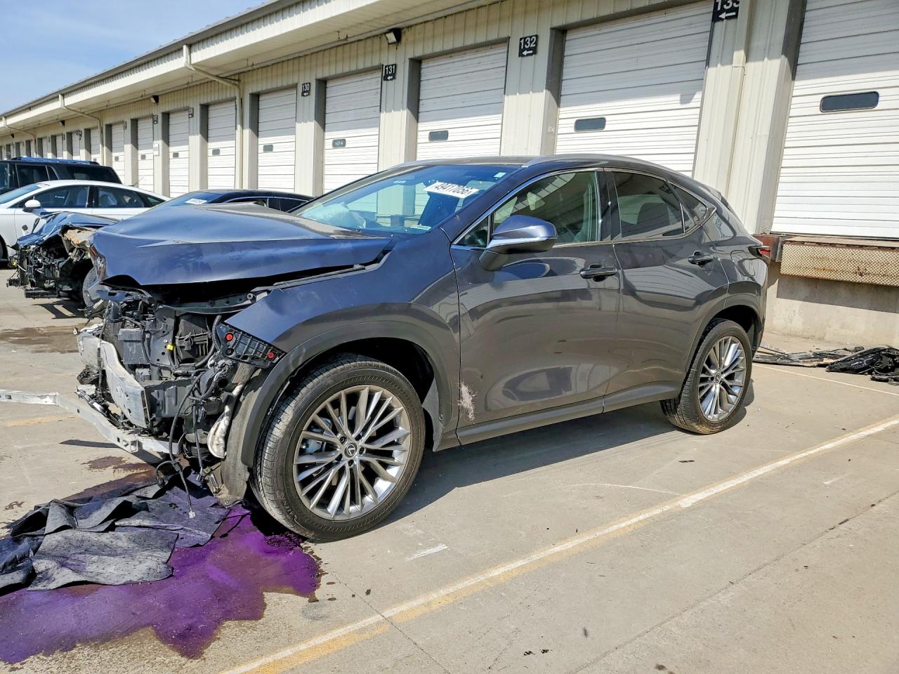 Salvage Lexus NX Image