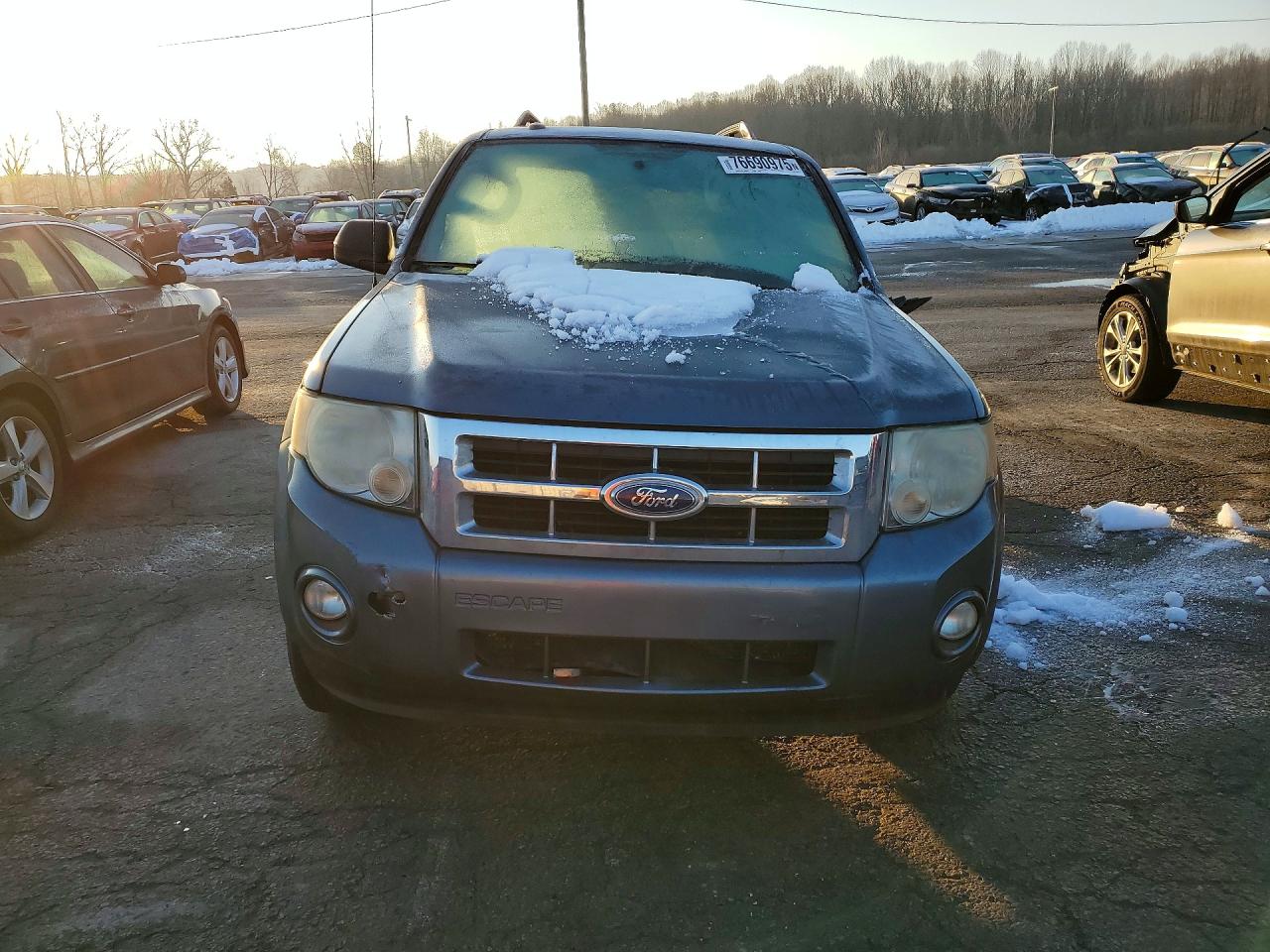 Ford Escape Xlt