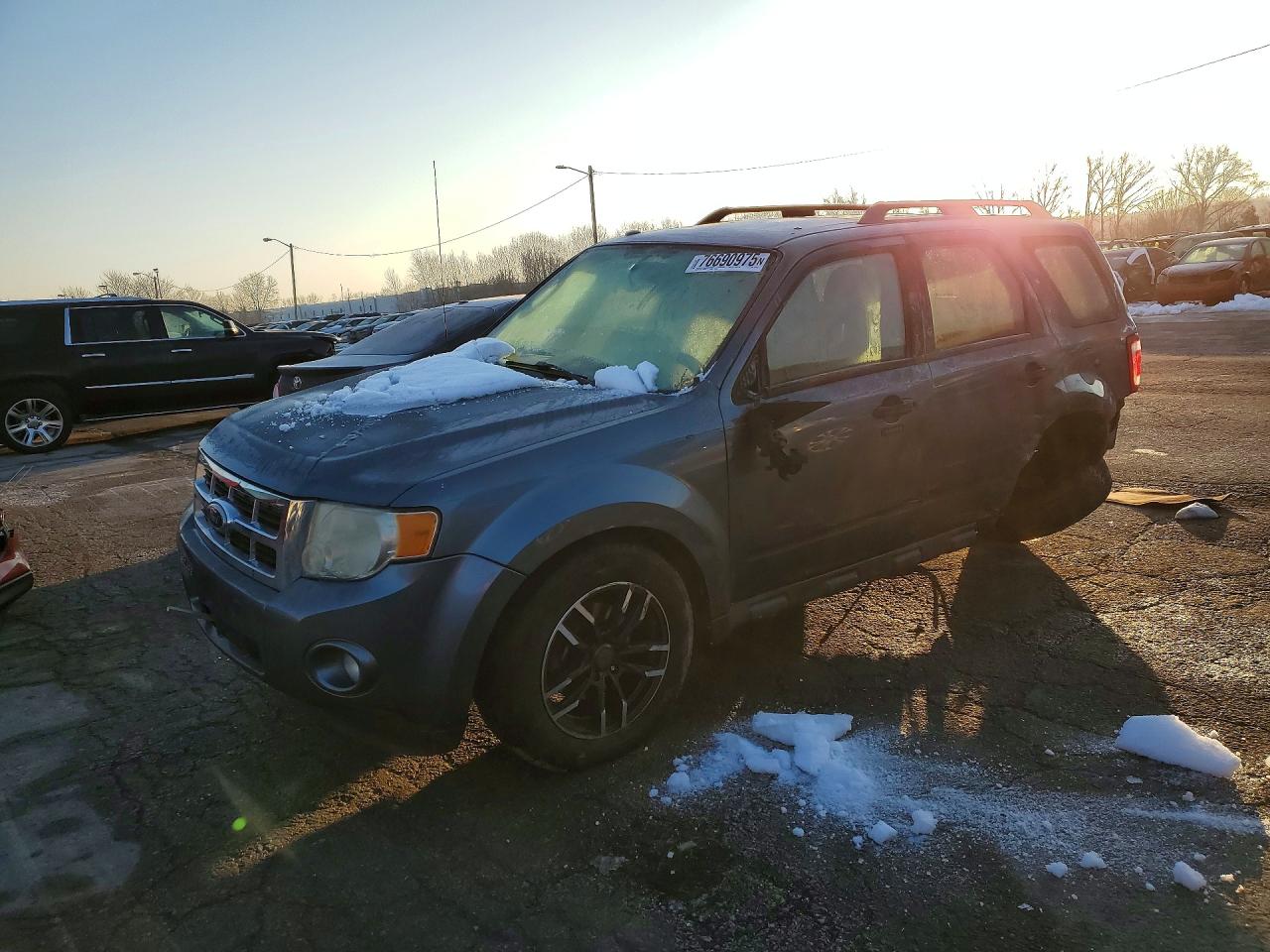 Salvage Ford Escape Image