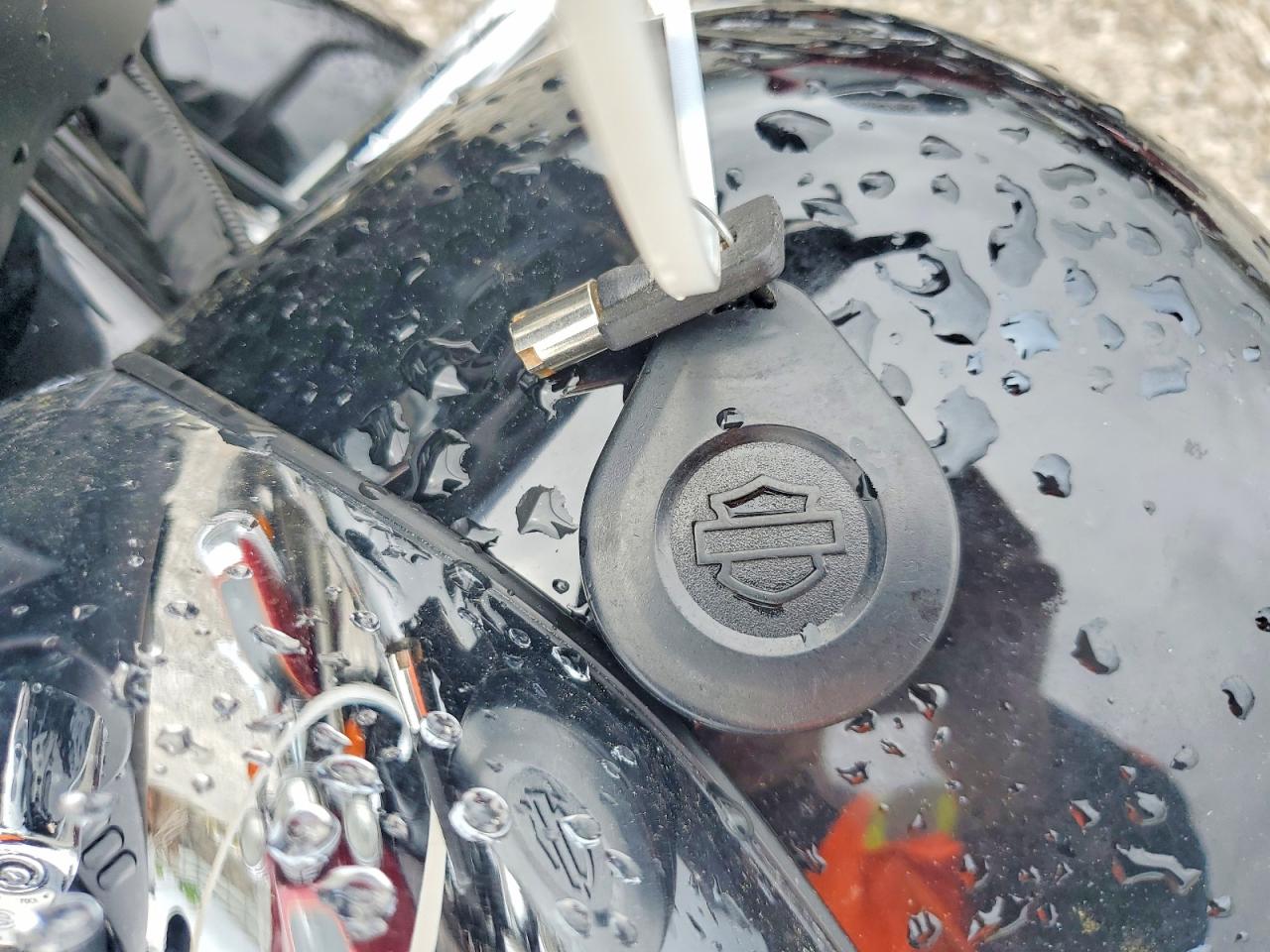 Harley-Davidson Fl