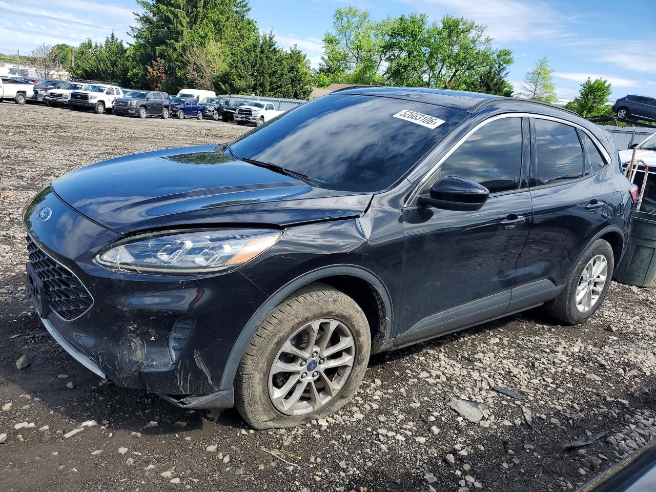 Salvage Ford Escape Image