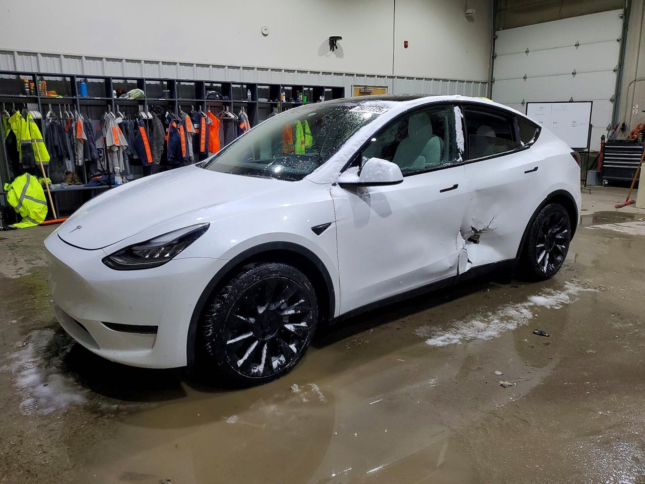 Salvage Tesla Model Y Image