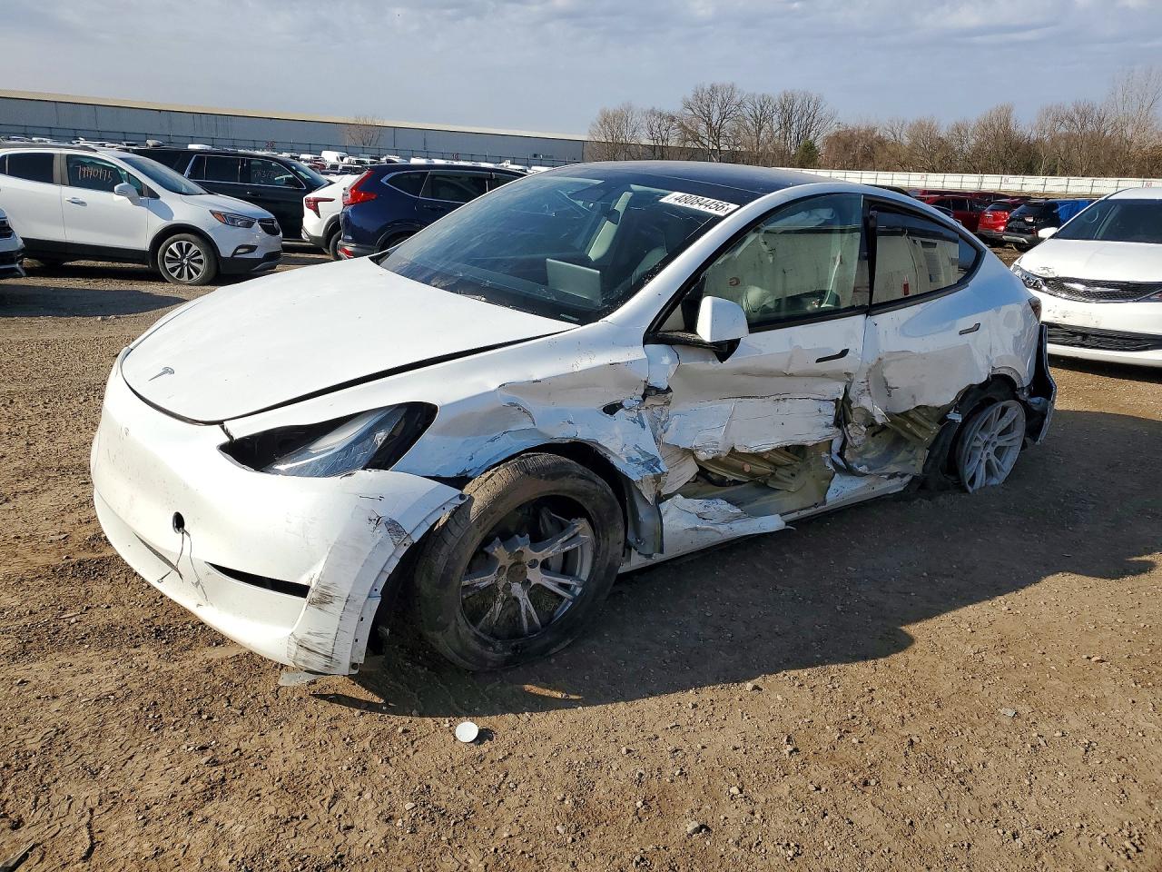 Salvage Tesla Model Y Image