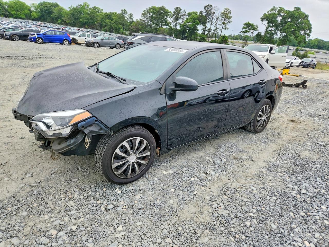 Salvage Toyota Corolla Image