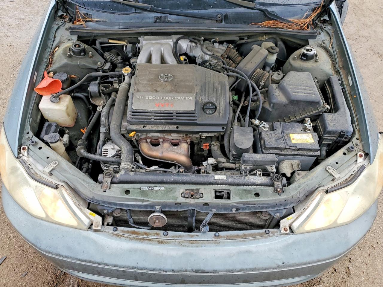 Toyota Avalon Xls