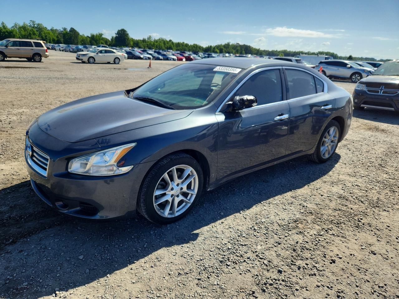 Salvage Nissan Maxima Image