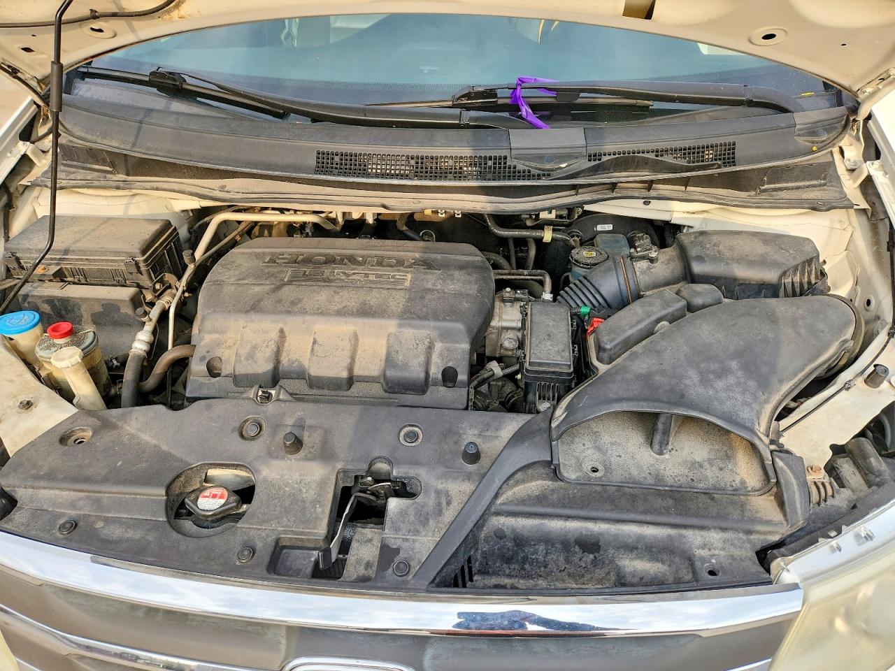 Honda Odyssey Exl