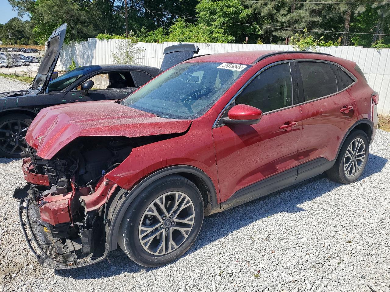 Salvage Ford Escape Image