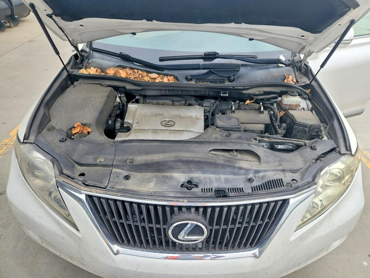 Lexus RX 350