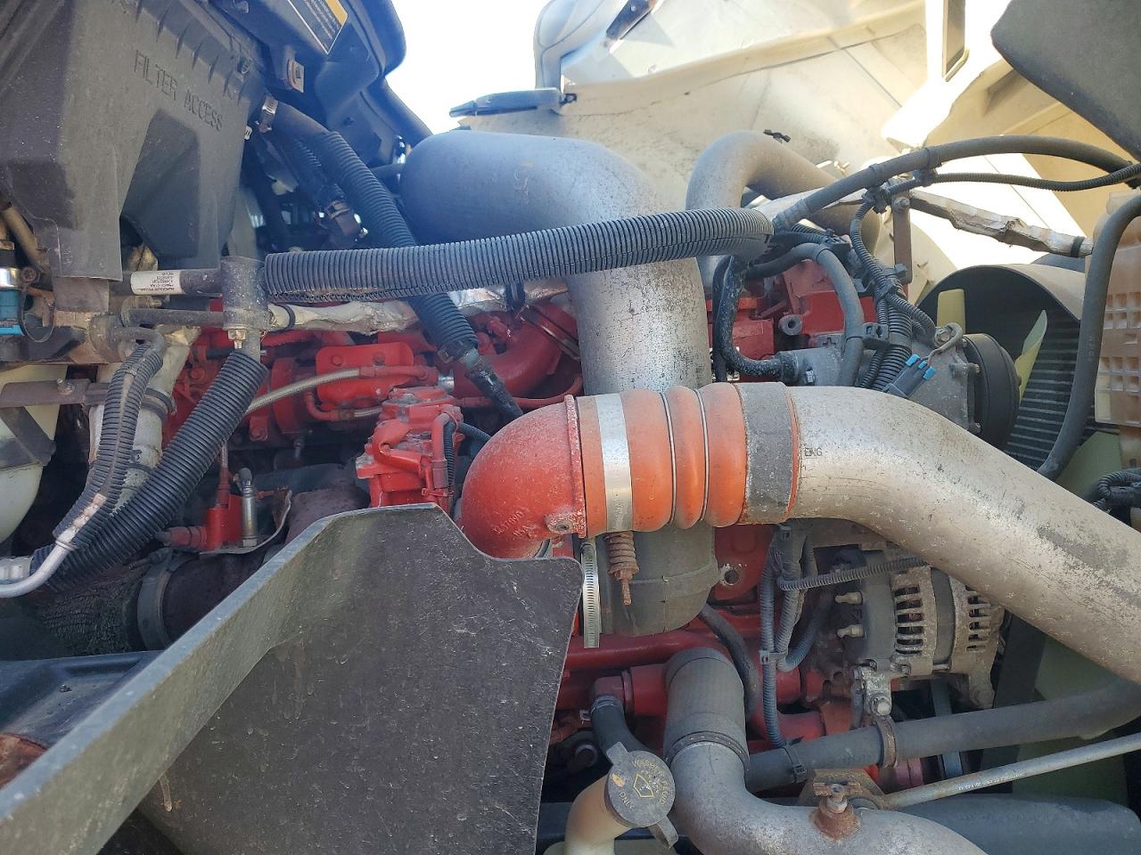 International Prostar