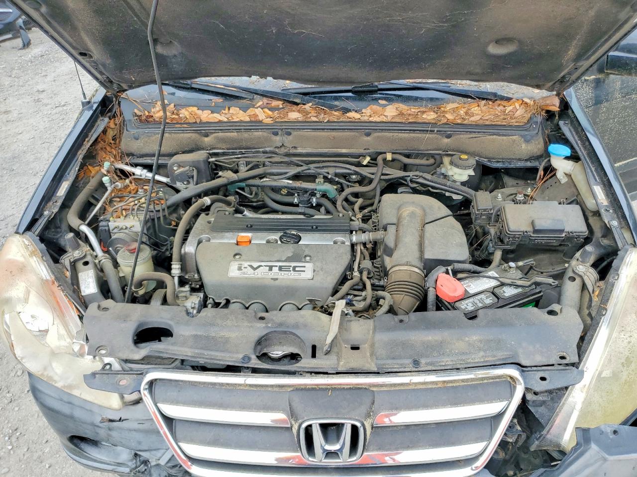 Honda Crv Ex