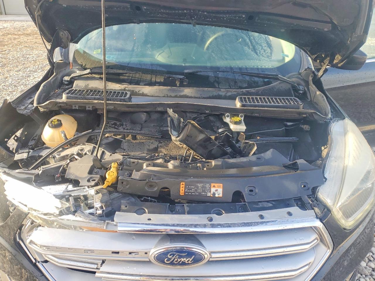 Ford Escape Se