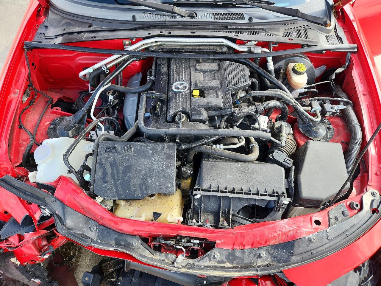 Mazda Mx5 Club