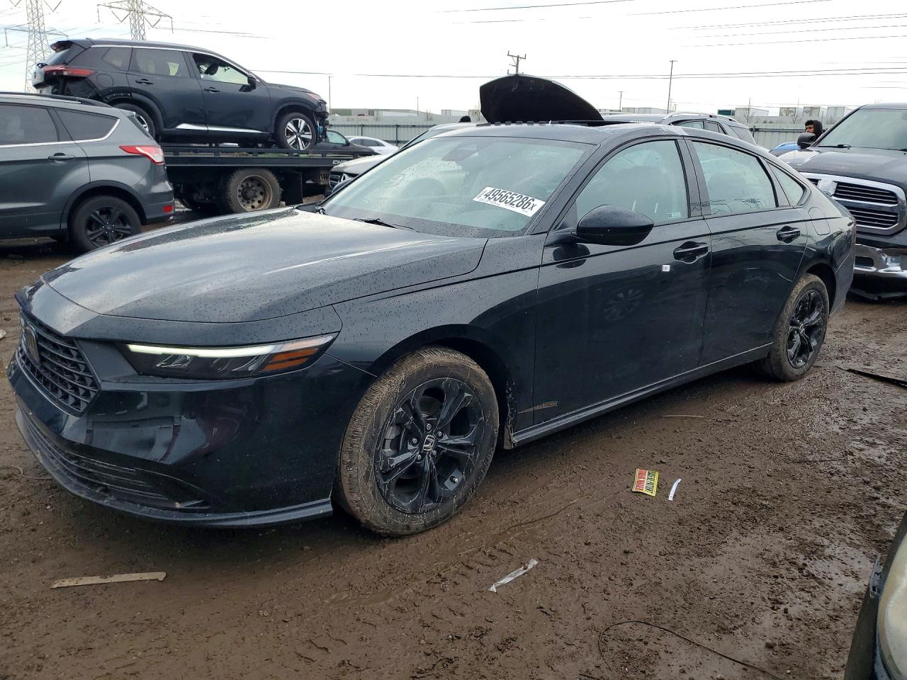 Salvage Honda Accord Image