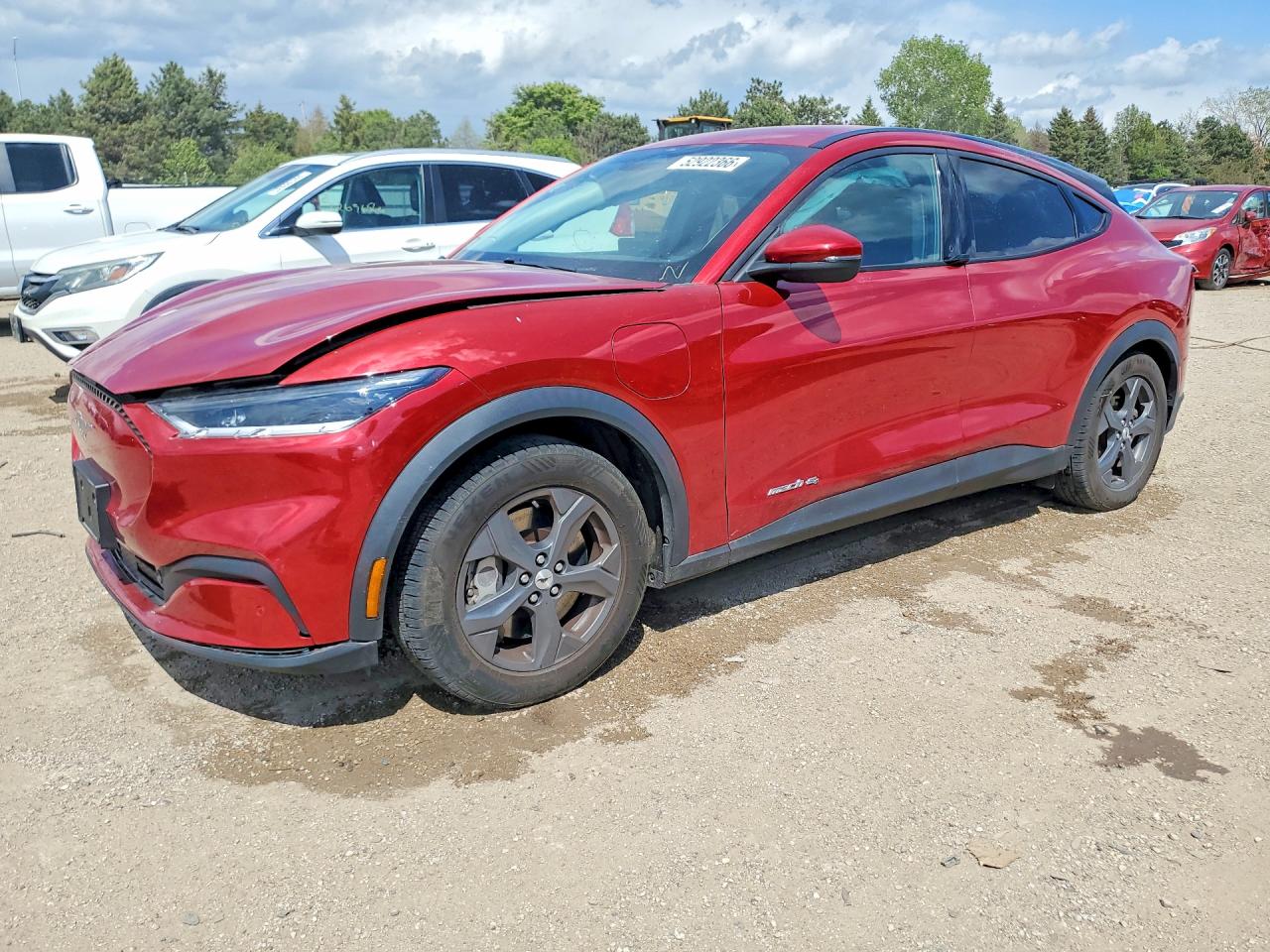 Salvage Ford Mustang Image