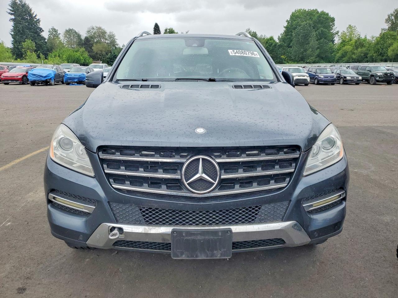 Mercedes-Benz M-Class 350 Bluetec