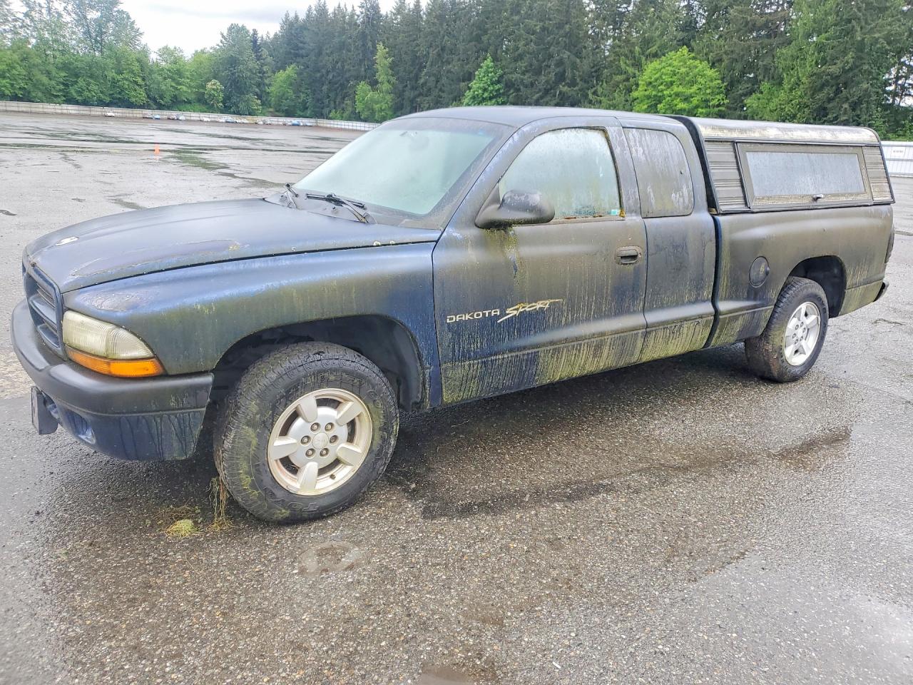Salvage Dodge Dakota Image