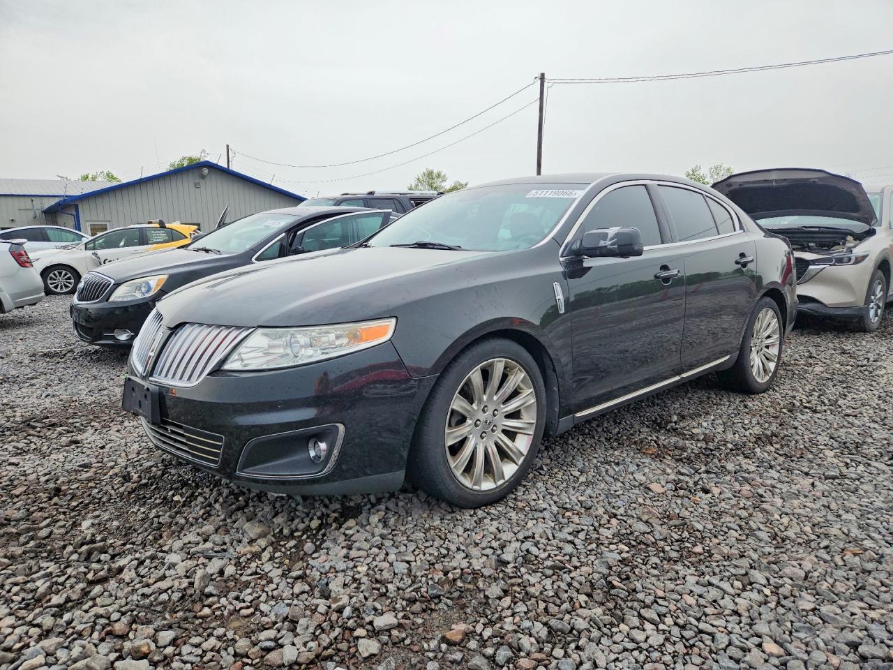 Salvage Lincoln MKS Image