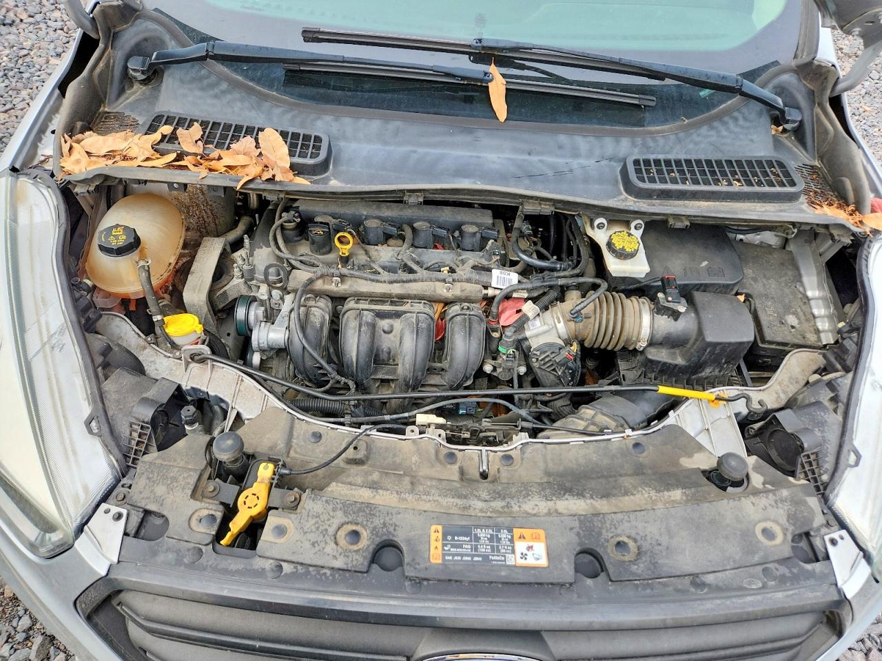Ford Escape S