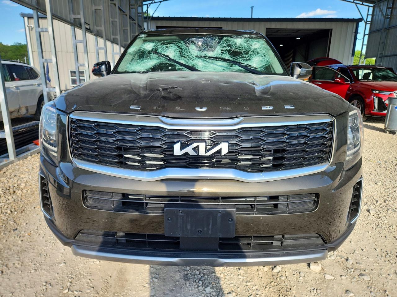 Kia Telluride Ex