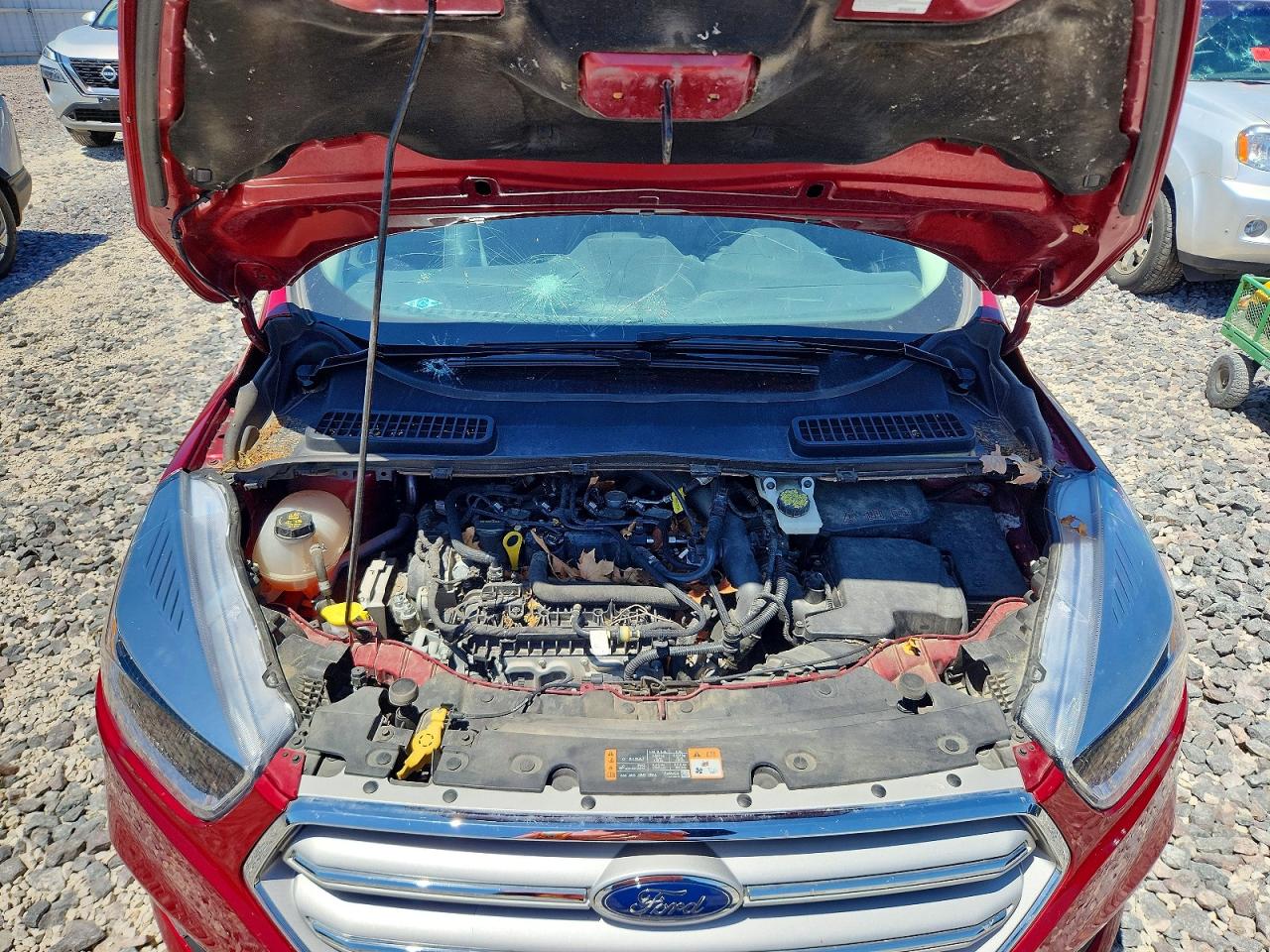 Ford Escape Se