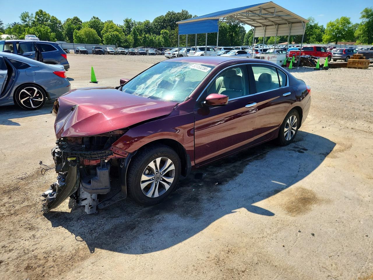 Salvage Honda Accord Image