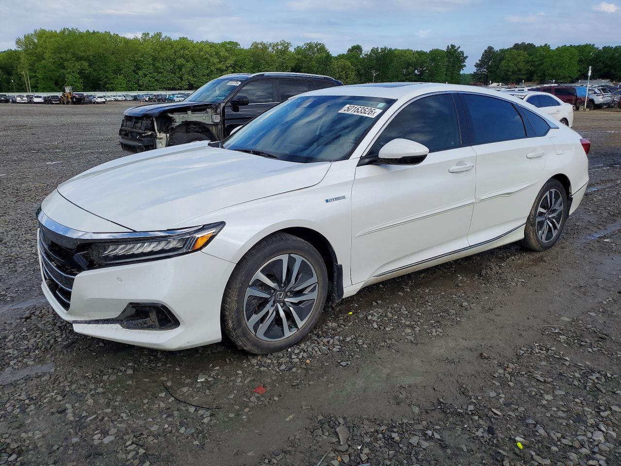 Salvage Honda Accord Image