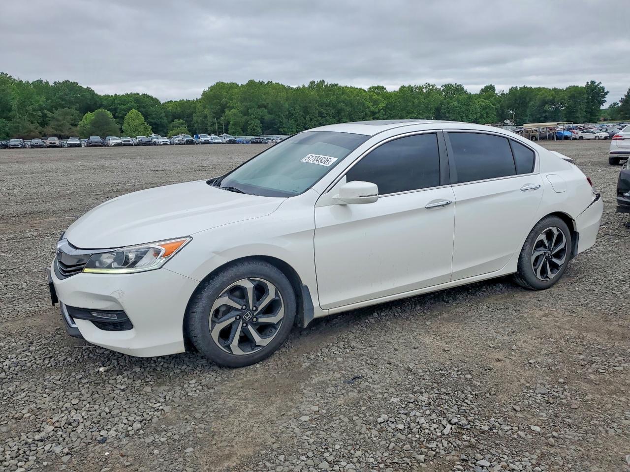 Salvage Honda Accord Image