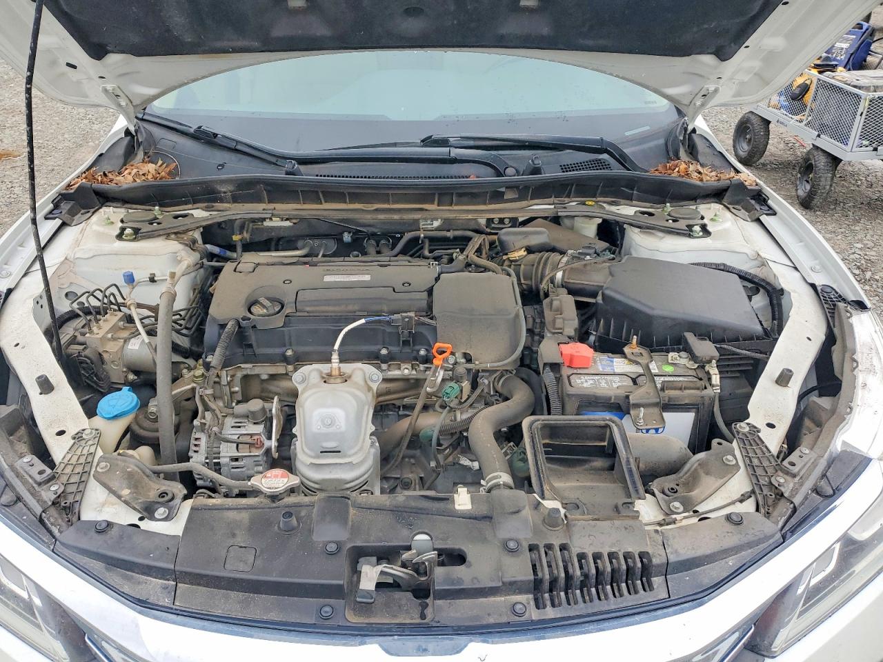 Honda Accord Exl