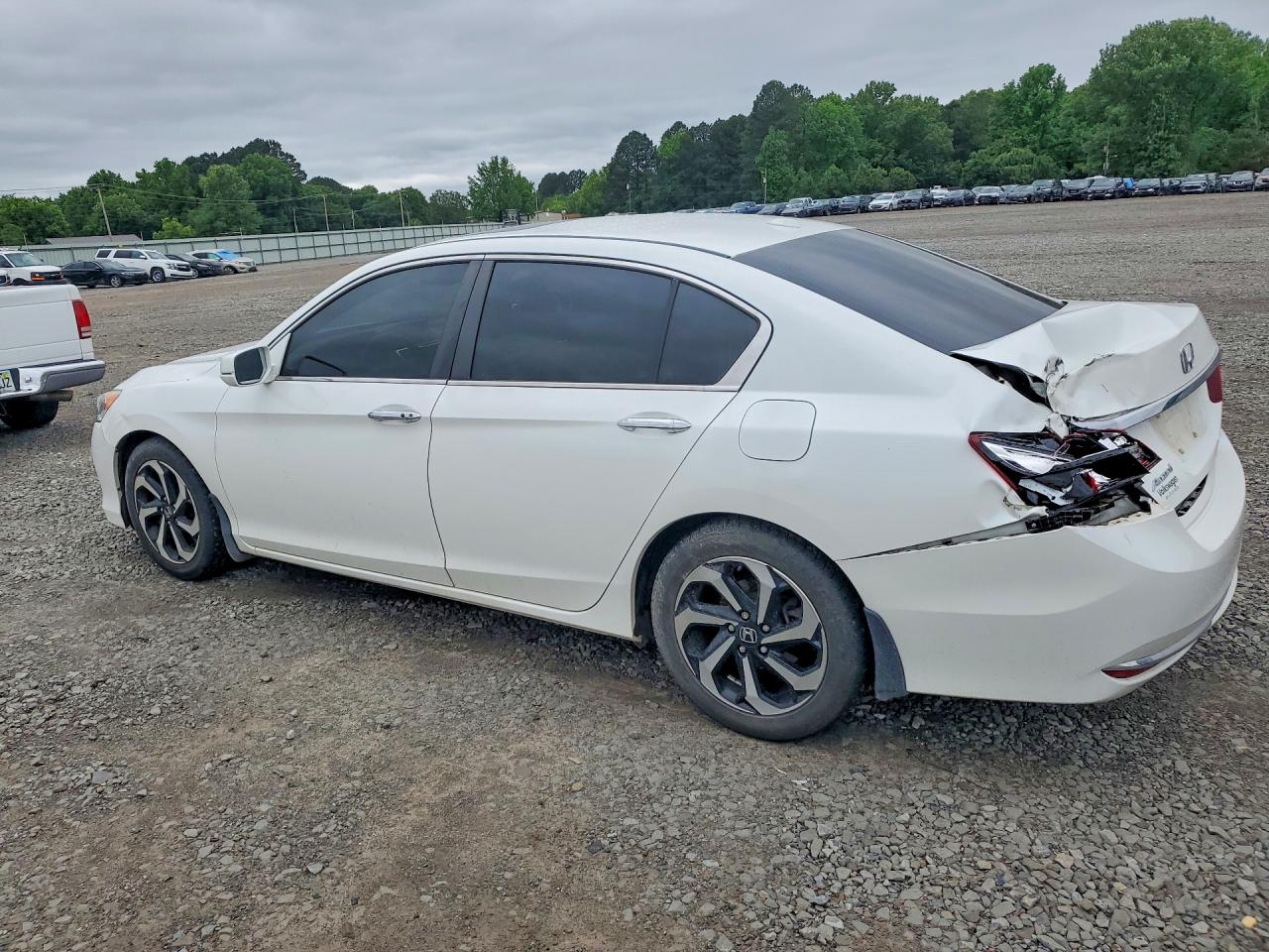 Honda Accord Exl