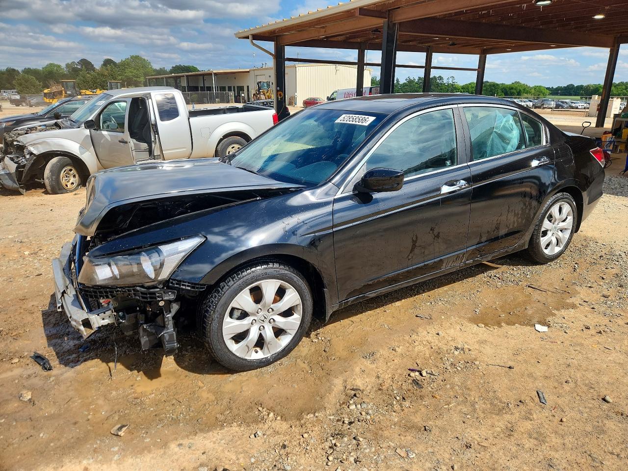Salvage Honda Accord Image