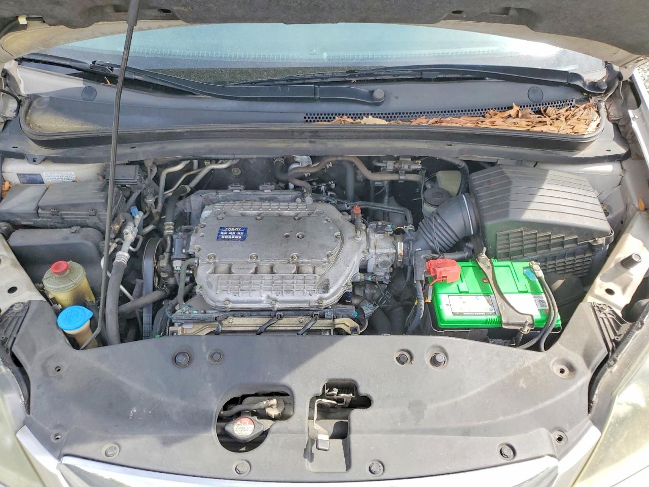 Honda Odyssey Exl