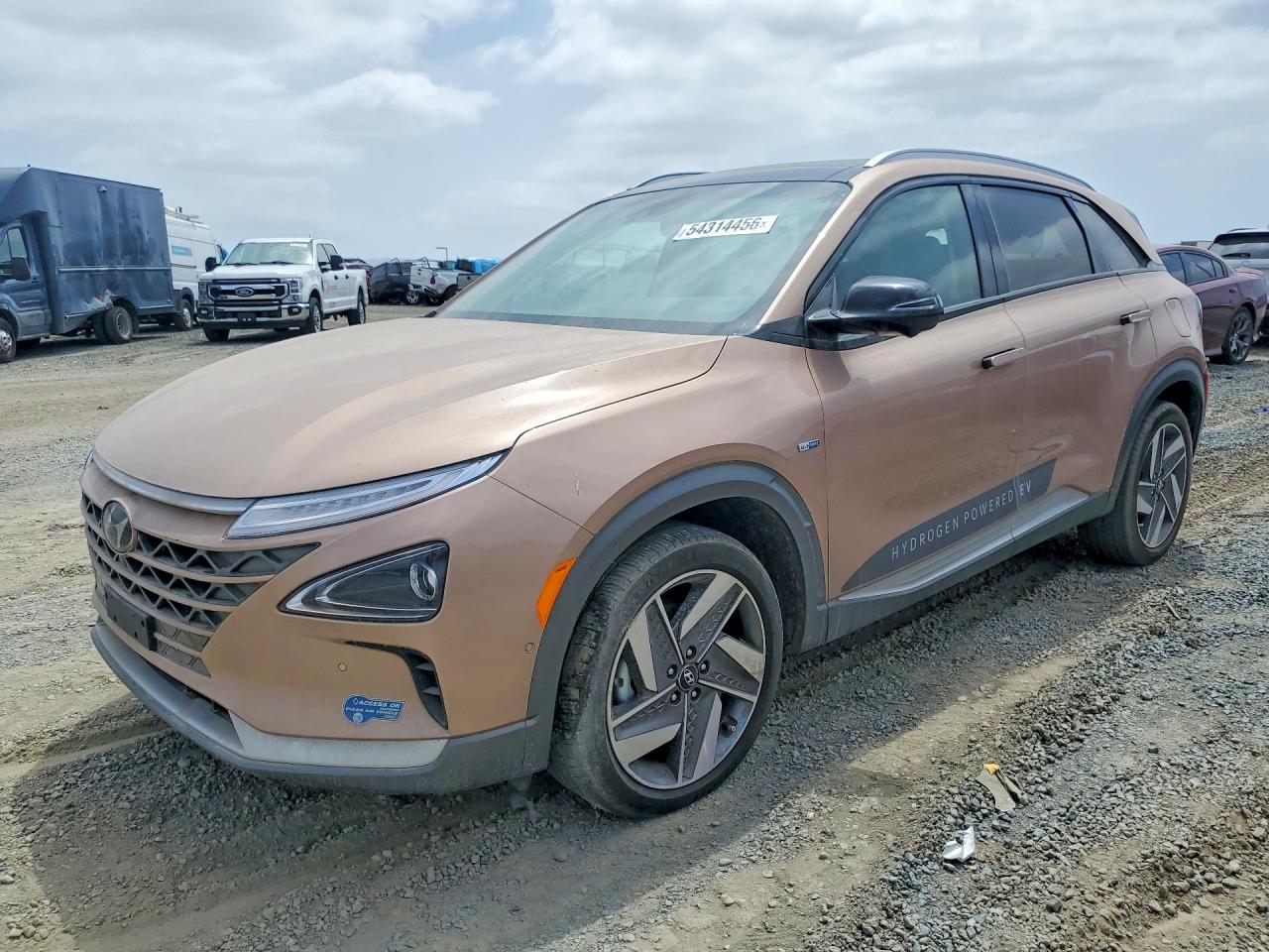 Salvage Hyundai NEXO Image