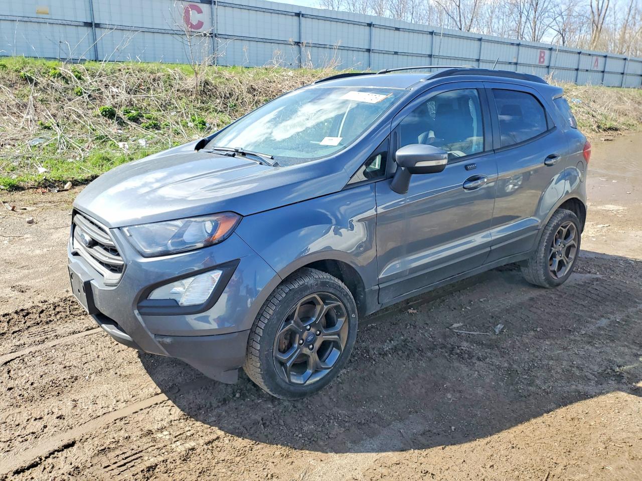 Salvage Ford EcoSport Image