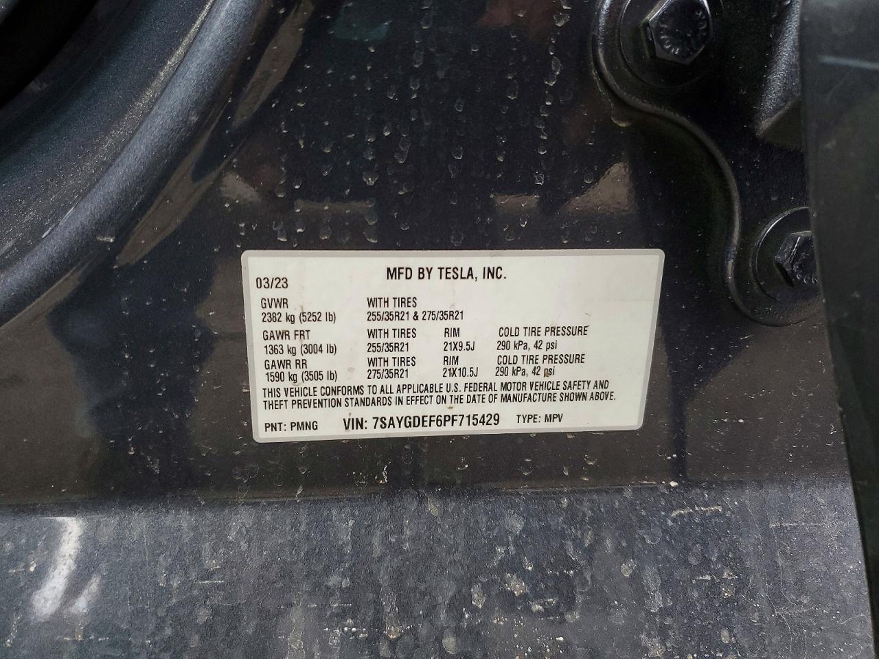 Tesla Model Y