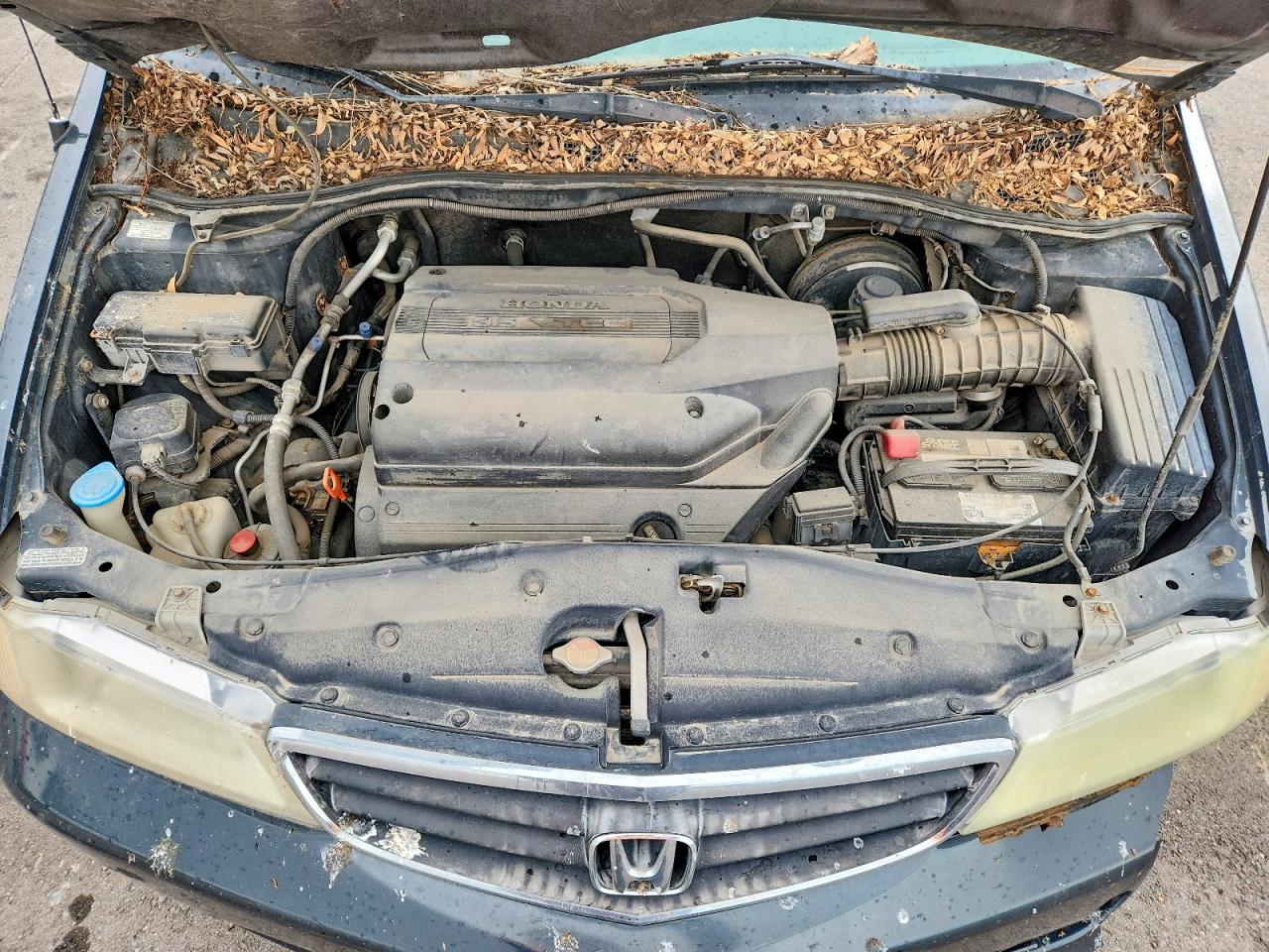Honda Odyssey Exl