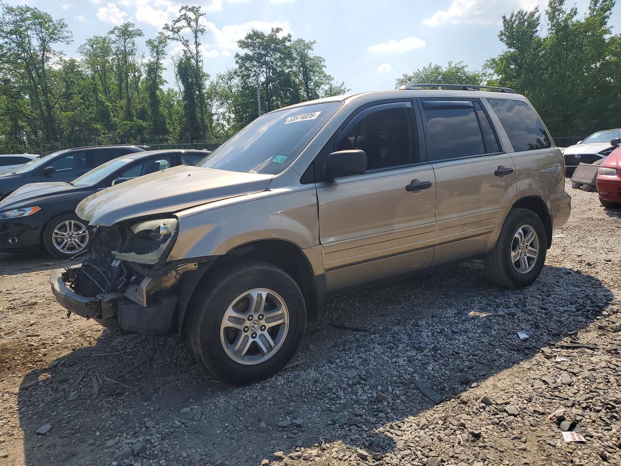 Salvage Honda Pilot Image