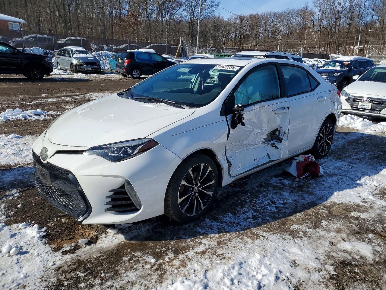 Salvage Toyota Corolla Image